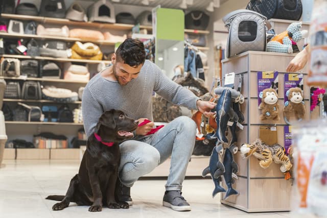 El boom de los productos para mascotas: ¿qué están comprando los hogares peruanos?